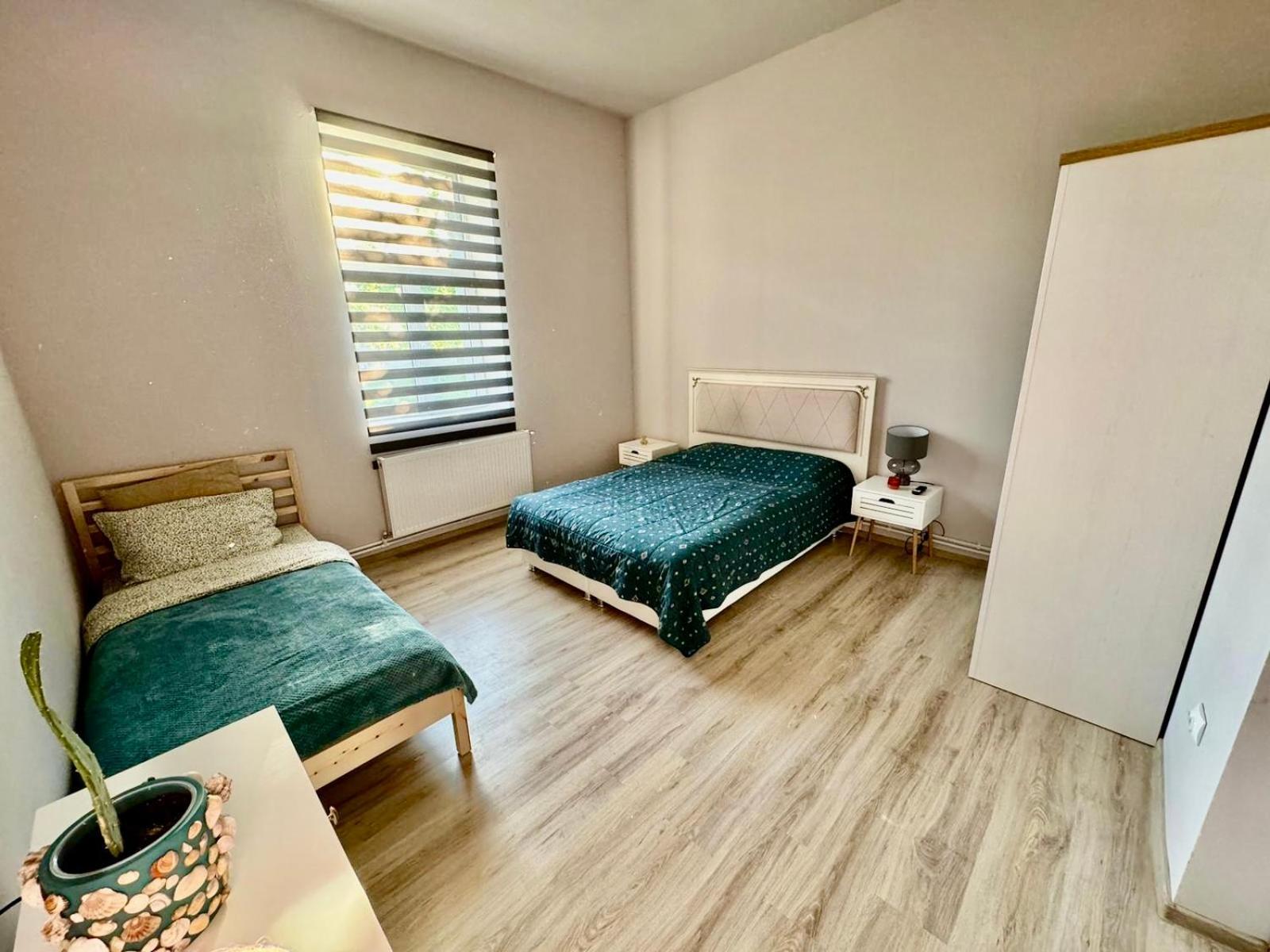 Serbian House Timişoara Eksteriør billede